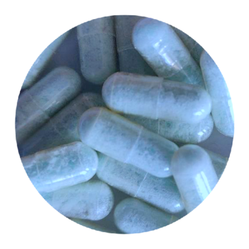 Blue Dolphin MDMA-Kapseln kaufen Blue Dolphin MDMA-Kapseln kaufen